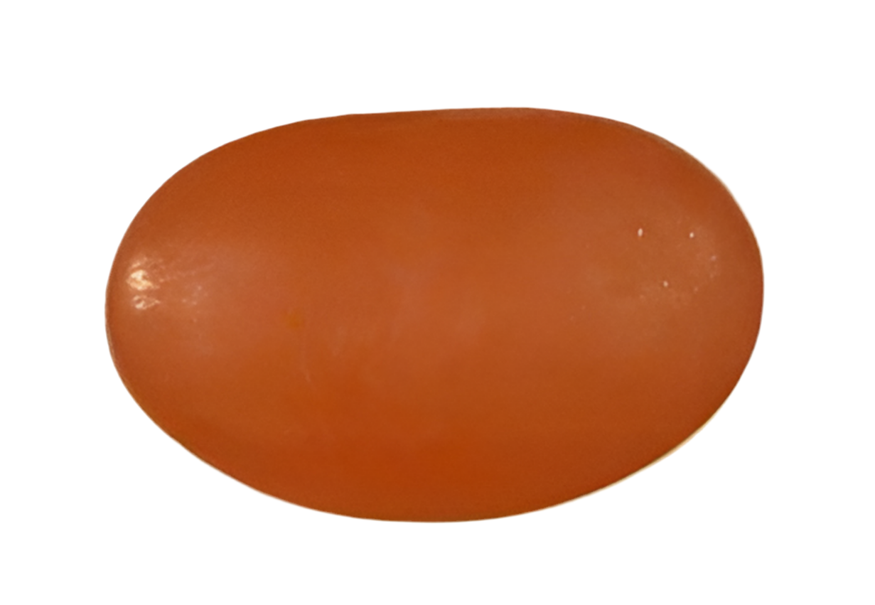 Rubber Kidney