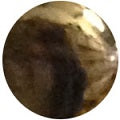 Antique Bronze *