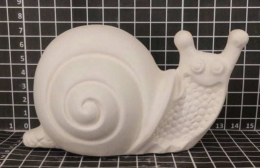 Snail Shell Small Flatish