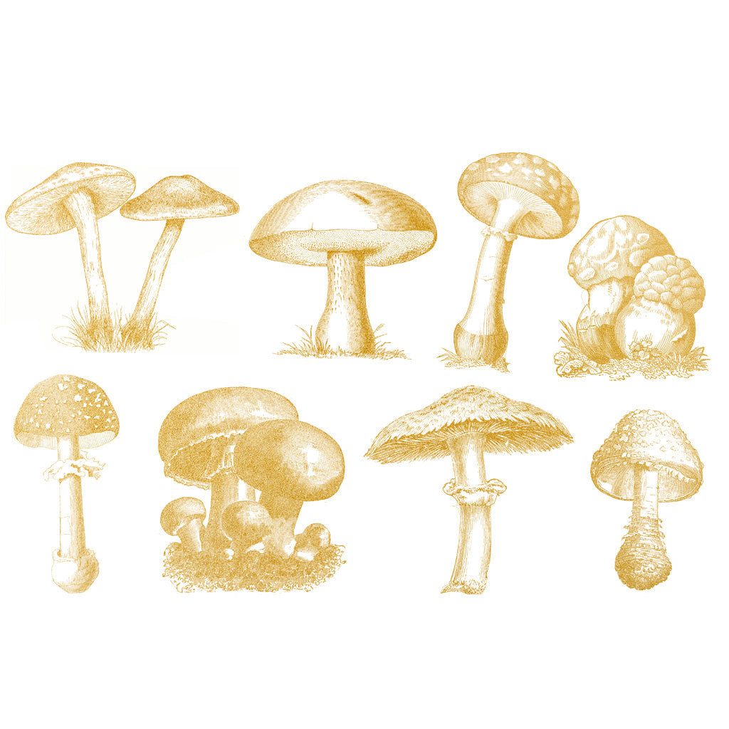 Gold Overglaze Decal - Wild Mushroom