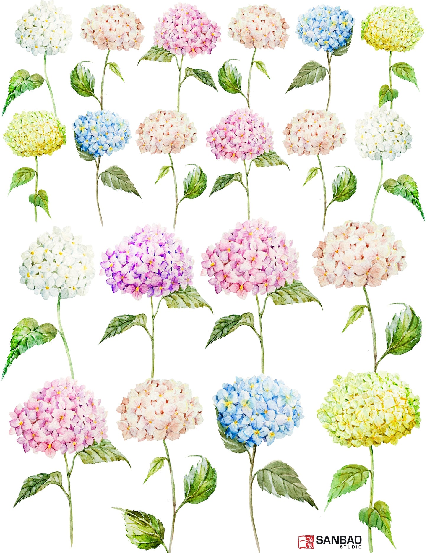 Overglaze decal - Hydrangea