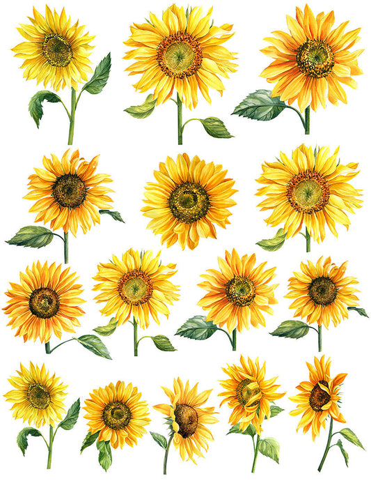 Overglaze decal - Sun Flower